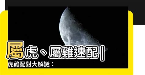 雞虎配|生肖配對｜屬虎12生肖夫妻配對表！最佳姻緣及相沖排